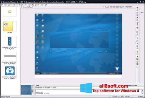 Ekrano kopija ScreenShot Windows 8
