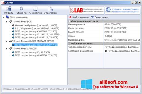Ekrano kopija R.saver Windows 8
