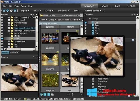 Ekrano kopija ACDSee Photo Manager Windows 8