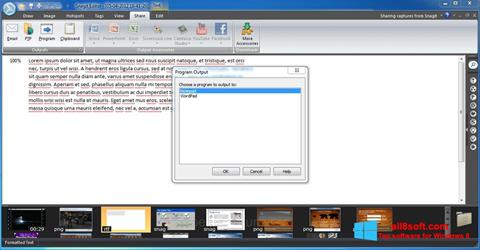 Ekrano kopija Snagit Windows 8