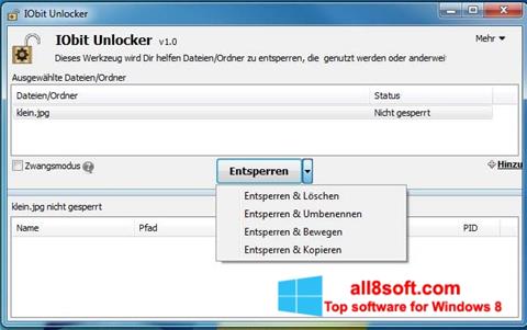 Ekrano kopija IObit Unlocker Windows 8