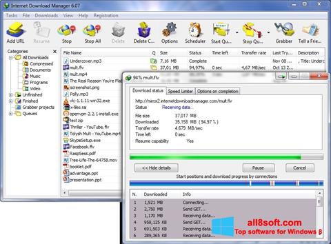 Ekrano kopija Internet Download Manager Windows 8