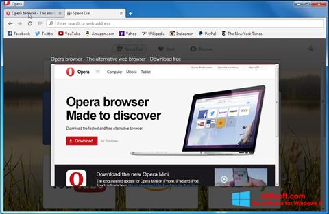 Ekrano kopija Opera Developer Windows 8