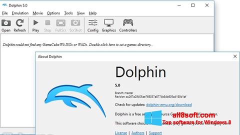 Ekrano kopija Dolphin Windows 8
