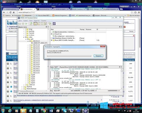 Ekrano kopija DMDE Windows 8