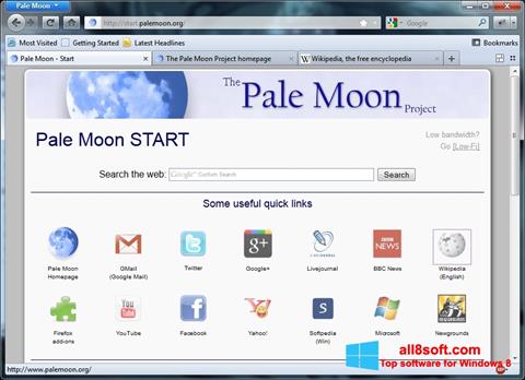 Ekrano kopija Pale Moon Windows 8