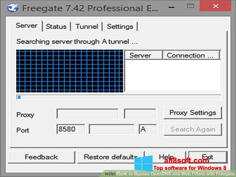 Ekrano kopija Freegate Windows 8