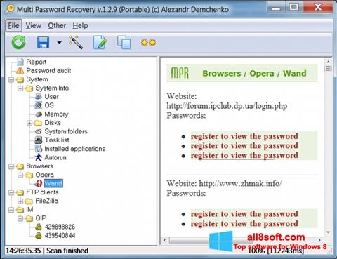 Ekrano kopija Multi Password Recovery Windows 8
