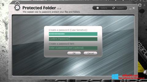 Ekrano kopija Protected Folder Windows 8