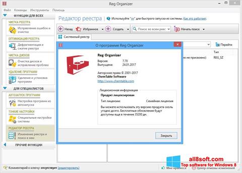 Ekrano kopija Reg Organizer Windows 8