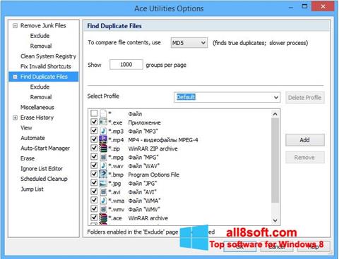Ekrano kopija Ace Utilities Windows 8