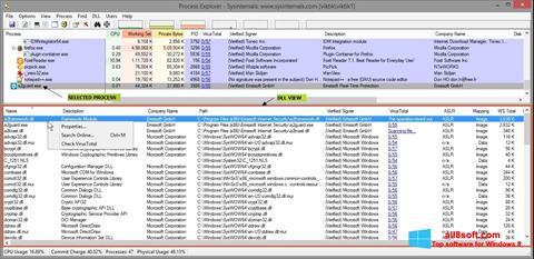 Ekrano kopija Process Explorer Windows 8