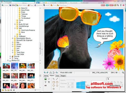 Ekrano kopija PhotoScape Windows 8
