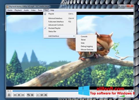 Ekrano kopija VLC Media Player Windows 8